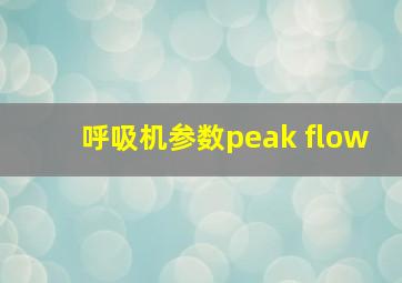 呼吸机参数peak flow